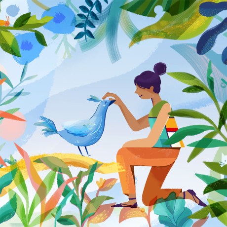 finding bird