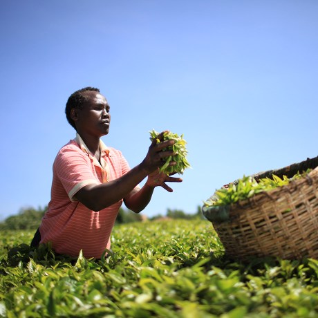 Kiva Slack customer story hero