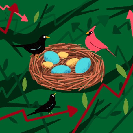 Two birds sharing a common nest